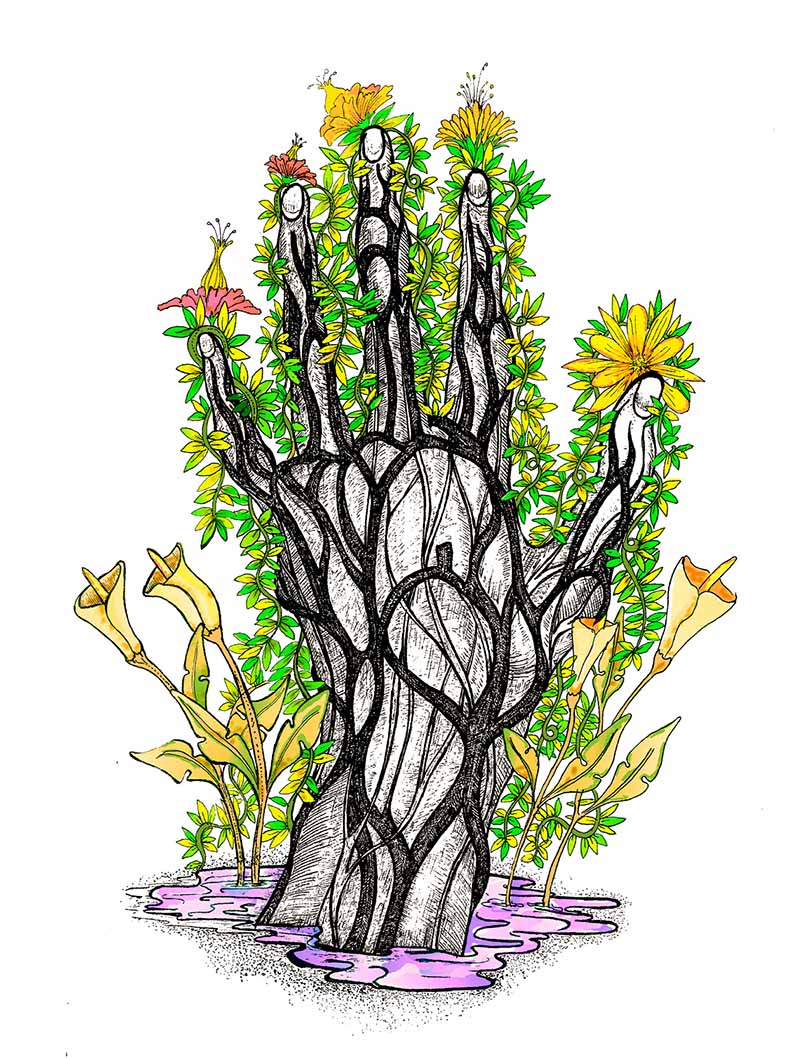 Anatomia,medicina,decoración,ilustración,huesos,vegetal