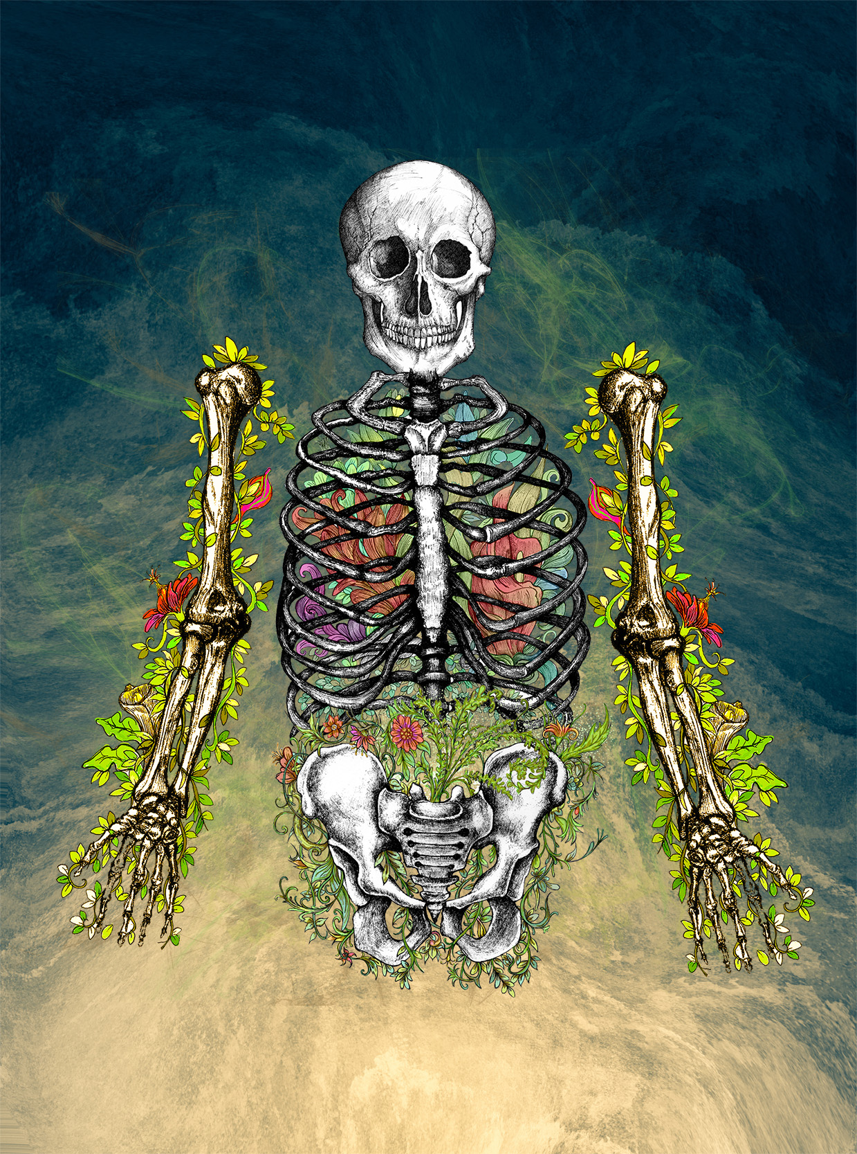 Anatomia,medicina,decoración,ilustración,huesos,vegetal